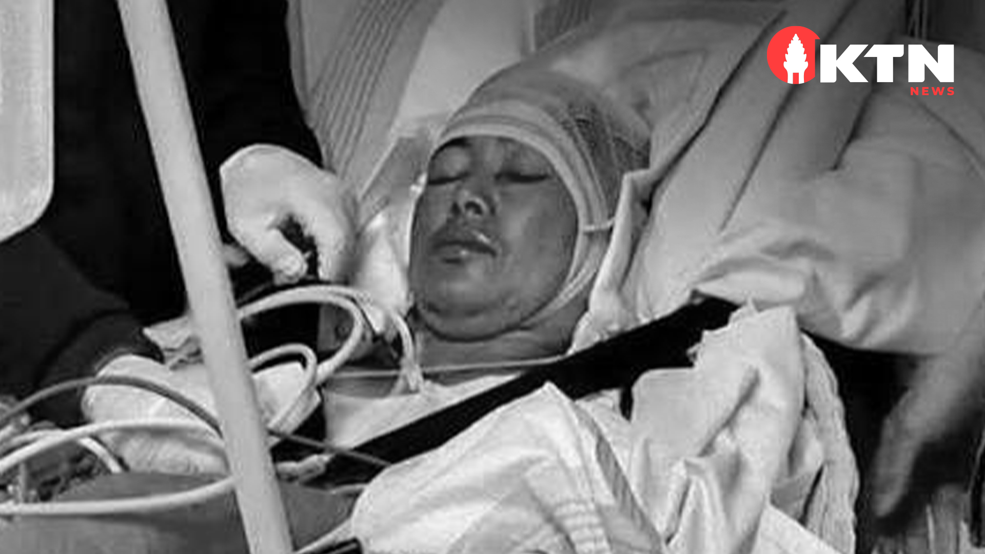 Thai Berry Picker Hospitalised After Bear Attack in Northern Sweden