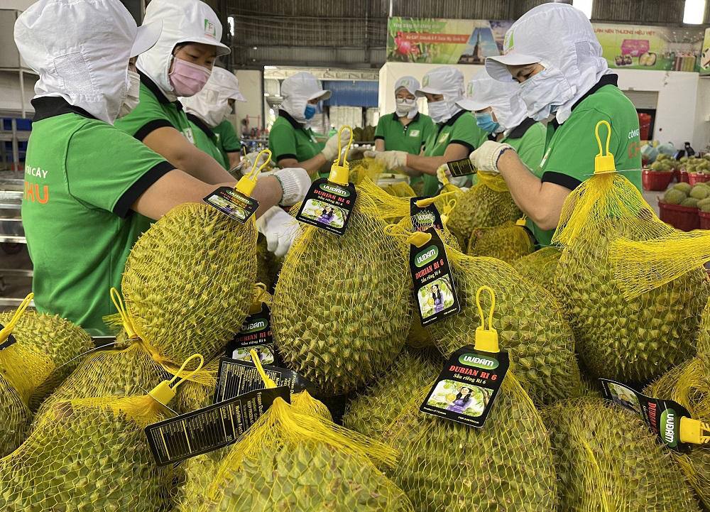 ប្រភព៖ vietnamnews