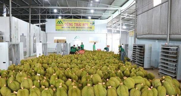 ប្រភព៖ vietnamnews