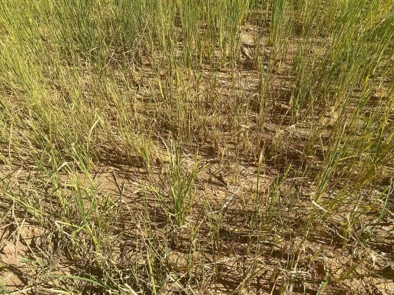 ប្រភព៖ គេហទំព័រផ្លូវការ ឯកឧត្តម គន់ គីម (Kin Kim)