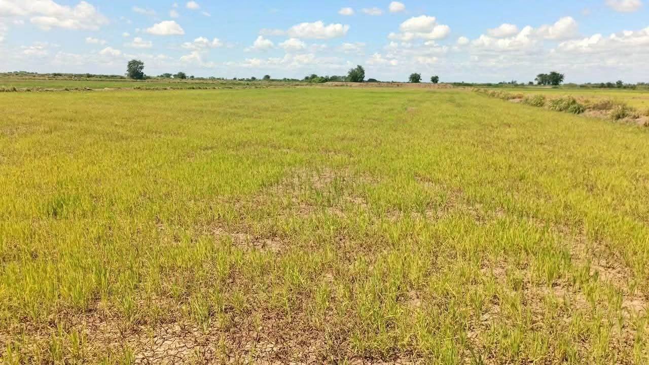 ប្រភព៖ គេហទំព័រផ្លូវការ ឯកឧត្តម គន់ គីម (Kin Kim)