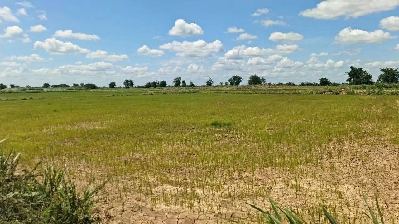 ប្រភព៖ គេហទំព័រផ្លូវការ ឯកឧត្តម គន់ គីម (Kin Kim)