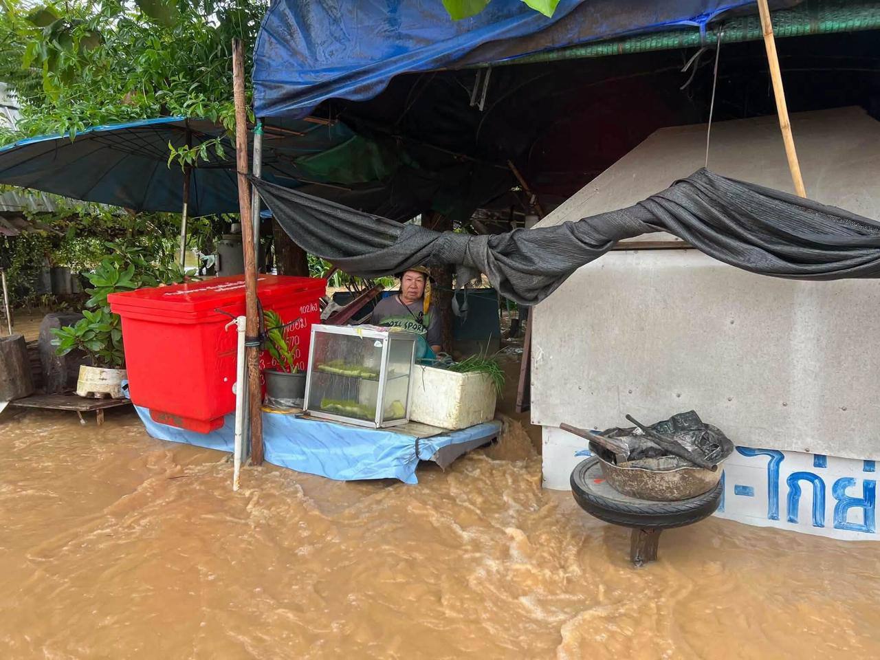 ប្រភព៖ AMARIN
